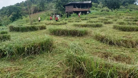 ส่งเสริมหญ้าแฝกอนุรักษ์ดินและน้ำ พร้อมถ่ายทอดตัวอย่างชุมชนเชียงใหม่